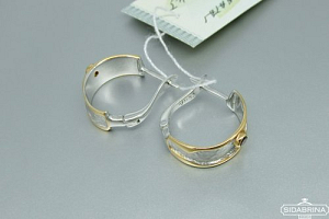 Auskarai su granatais - AUM1145