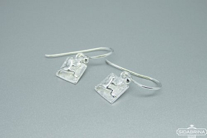 Sidabriniai auskarai - AUM1902