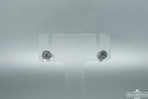 Sidabriniai auskarai - AUM2146