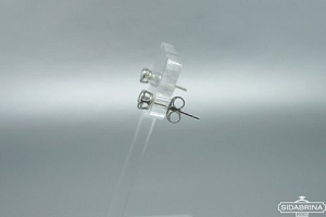 Sidabriniai auskarai - AUM2146