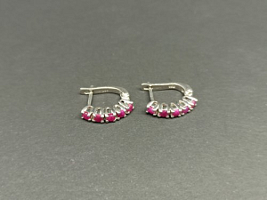 Sidabriniai auskarai - AUM2308