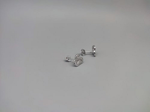 Sidabriniai auskarai su cirkoniu - AUM2403