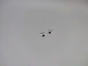 Sidabriniai auskarai su cirkoniu - AUM2414