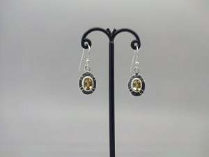 Sidabriniai auskarai su citrinu - AUM2411