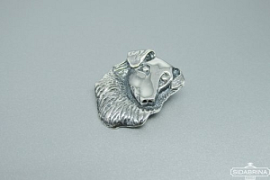 Sidabrinis pakabukas - PAV041