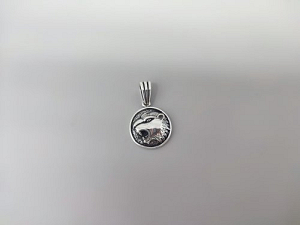 Sidabrinis pakabukas - PAV046