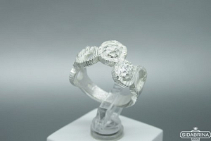 Sidabrinis žiedas - ZDM1464