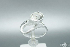 Sidabrinis žiedas - ZDM761
