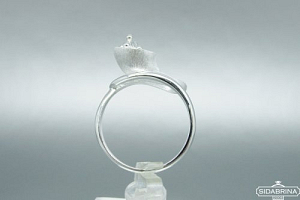 Sidabrinis žiedas - ZDM761