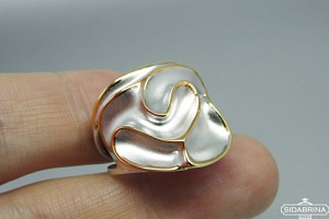 Sidabrinis žiedas - ZDM1520