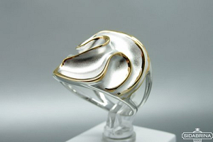Sidabrinis žiedas - ZDM1521