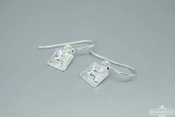 Sidabriniai auskarai - AUM1902