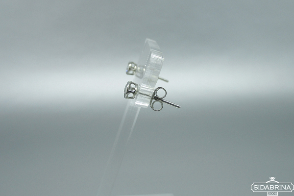 Sidabriniai auskarai - AUM2146