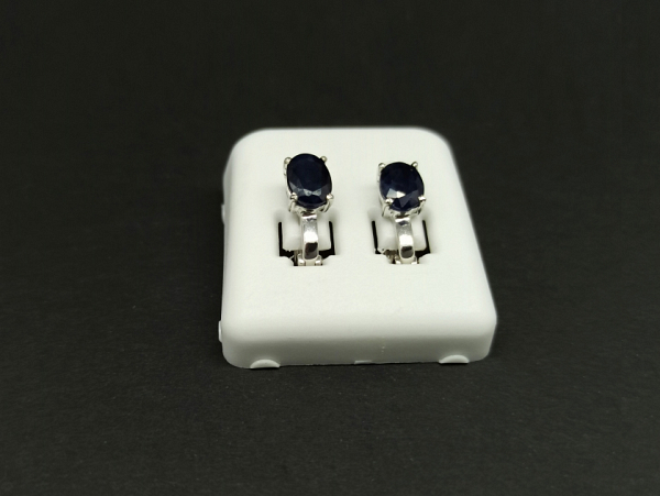 Sidabriniai auskarai - AUM2307