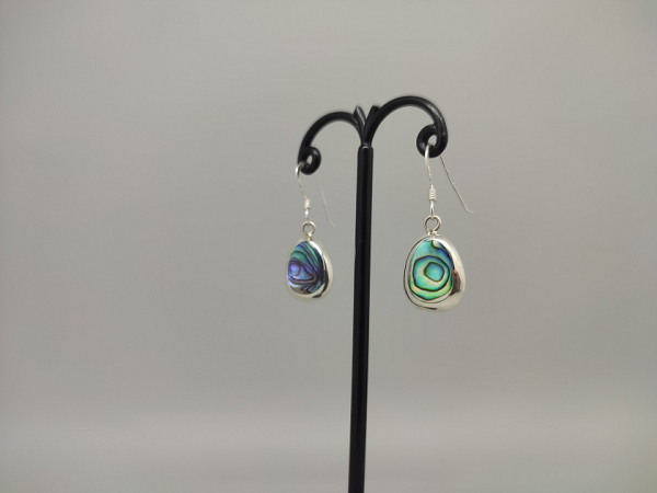 Sidabriniai auskarai - AUM2427