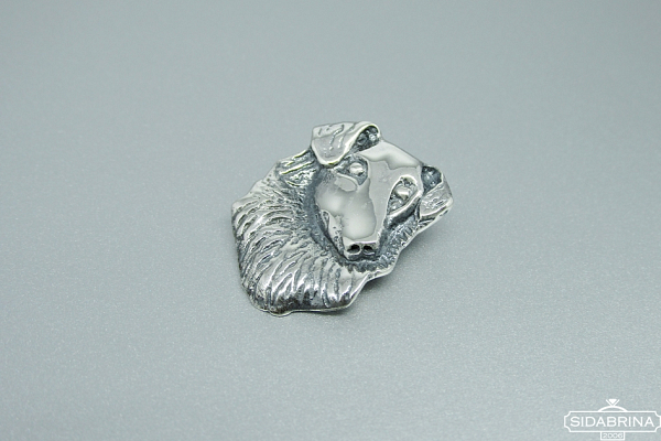 Sidabrinis pakabukas - PAV041