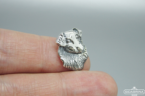 Sidabrinis pakabukas - PAV041