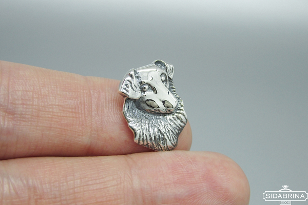 Sidabrinis pakabukas - PAV041