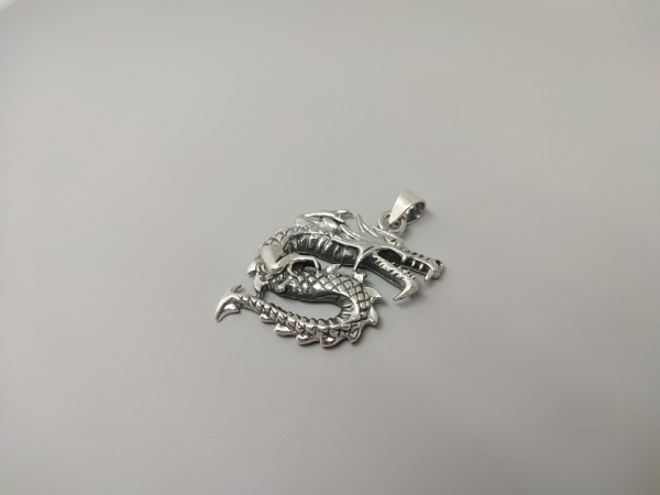 Sidabrinis pakabukas - PAV047