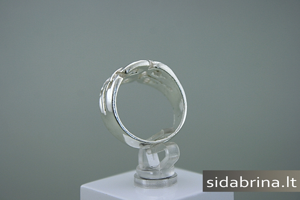 Sidabrinis žiedas - ZDM357