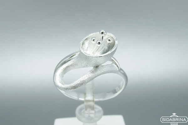 Sidabrinis žiedas - ZDM761