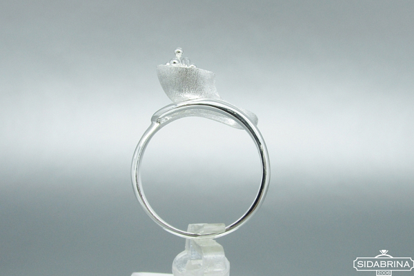 Sidabrinis žiedas - ZDM761