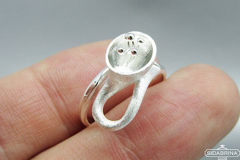 Sidabrinis žiedas - ZDM761