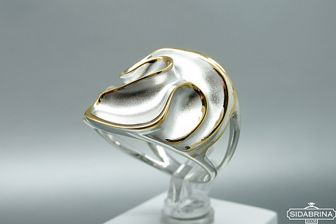 Sidabrinis žiedas - ZDM1520